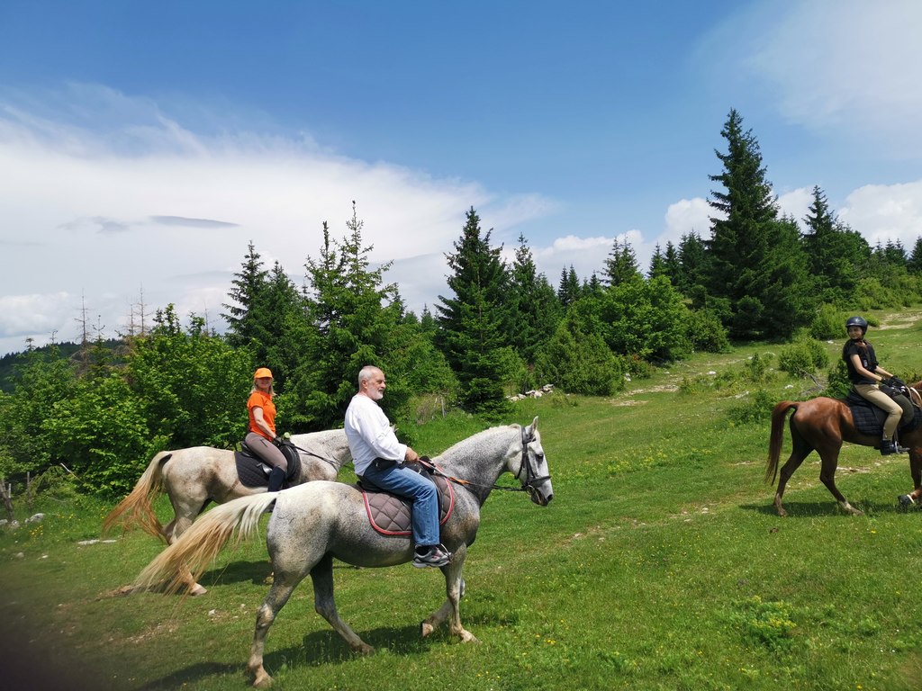 Put na Ajvatovicu 2019