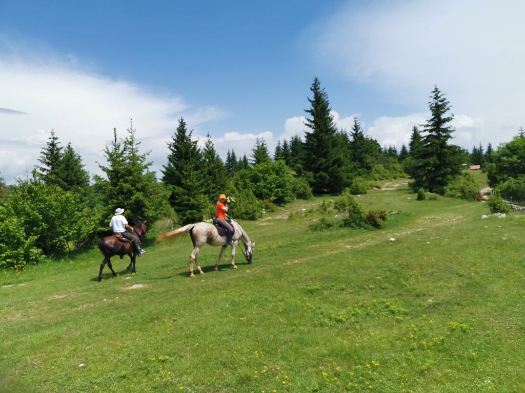 Put na Ajvatovicu 2019